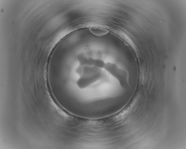 X0000089730847200706211432
