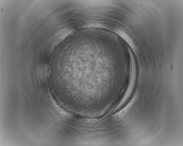 X0000089730849200706211432
