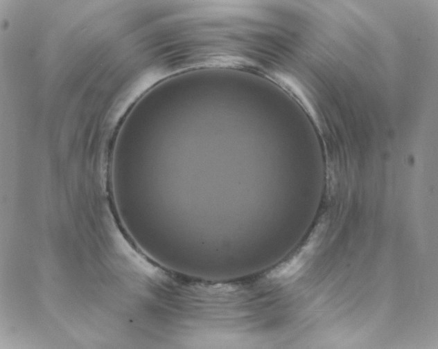 X0000089730851200706211432
