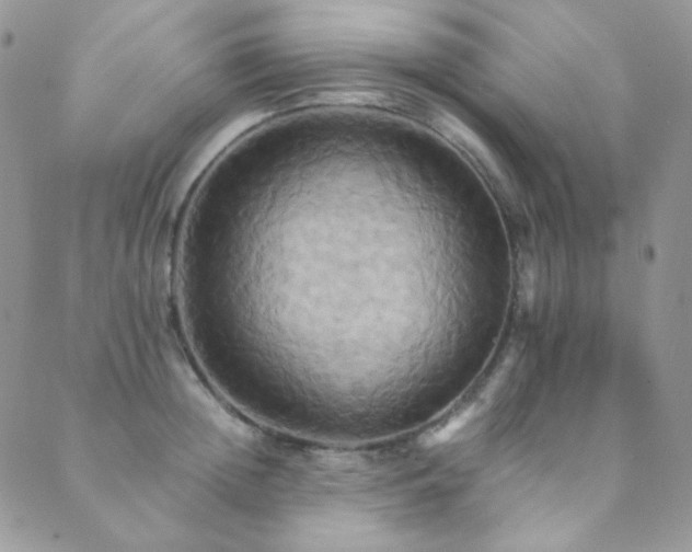 X0000089730852200706211432