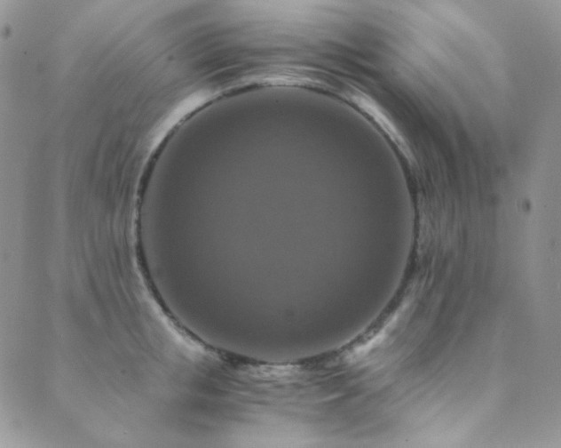 X0000089730853200706211432