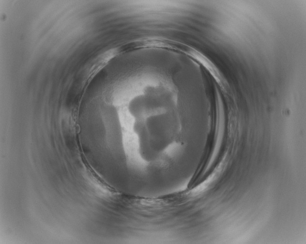 X0000089730857200706211432