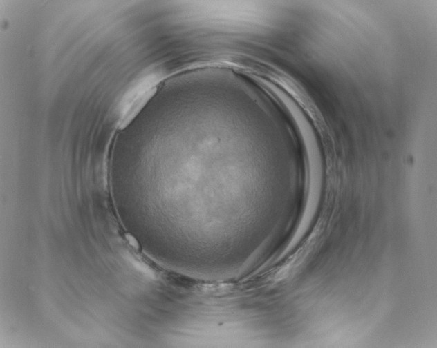 X0000089730858200706211432