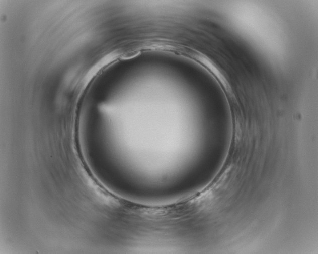 X0000089730861200706211432