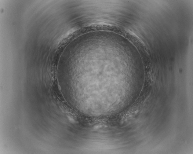 X0000089730870200706211431