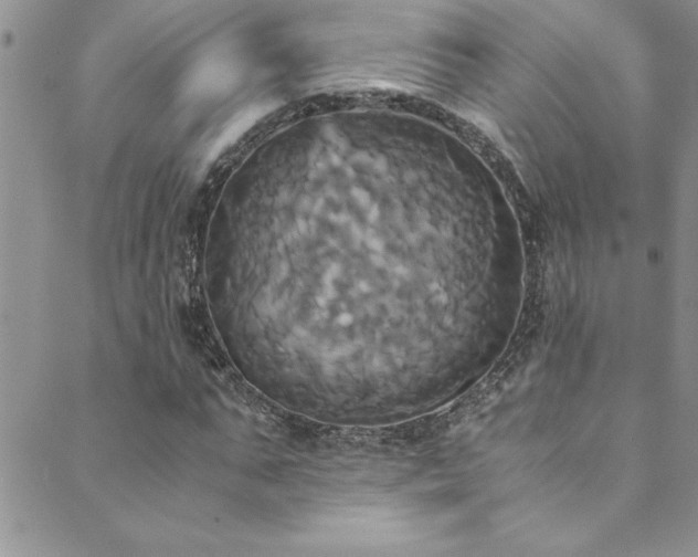 X0000089730871200706211431
