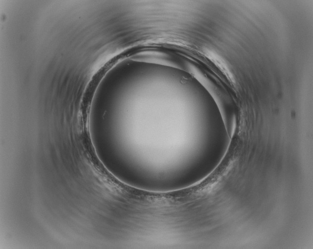 X0000089730876200706211431