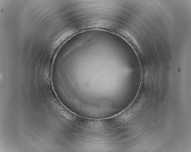 X0000089730882200706211431