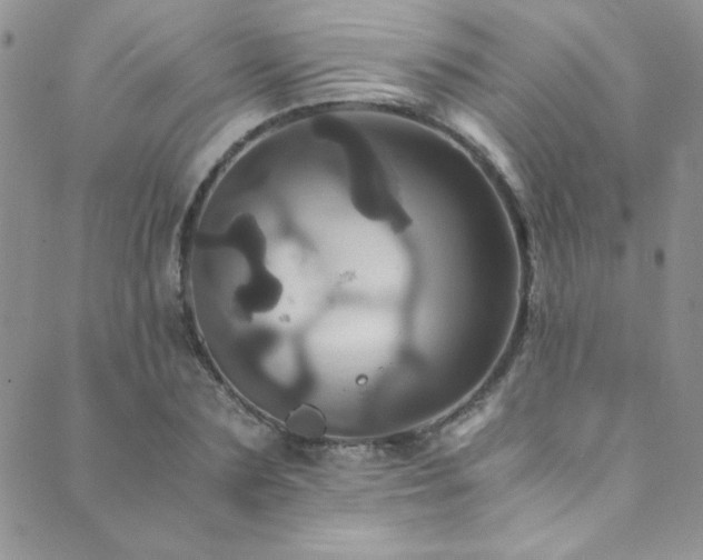 X0000089730883200706211431