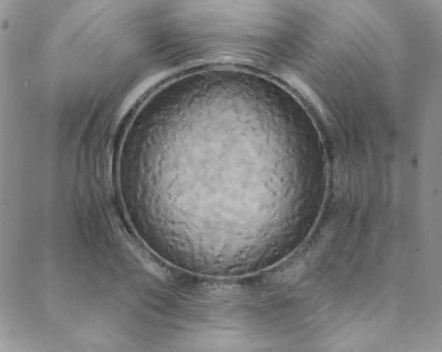 X0000089730886200706211431