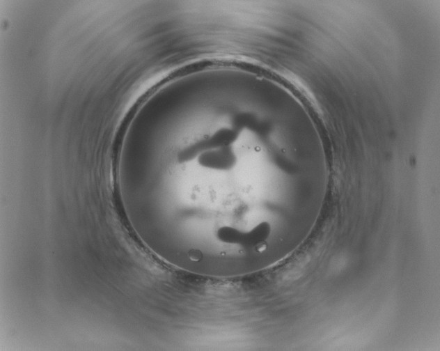 X0000089730887200706211431