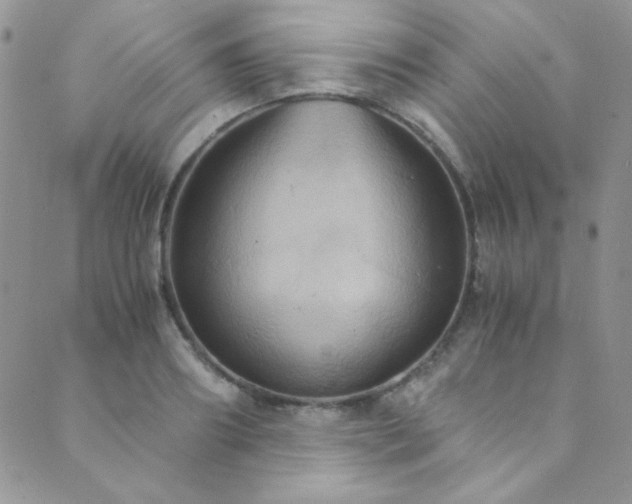 X0000089730890200706211431