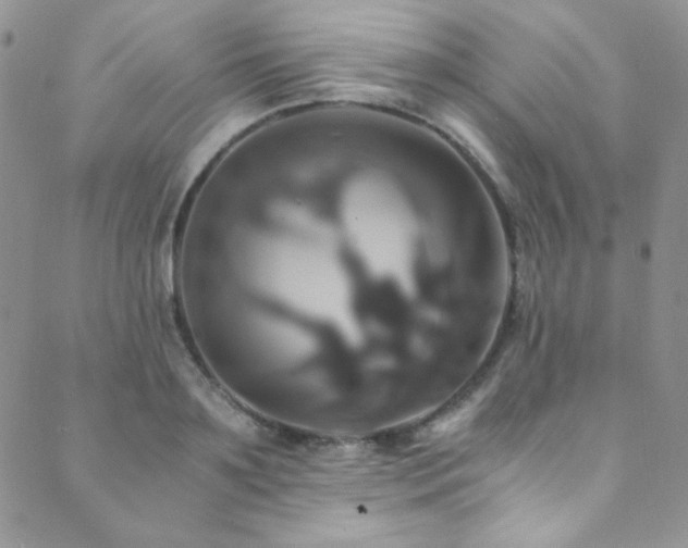 X0000089730891200706211431