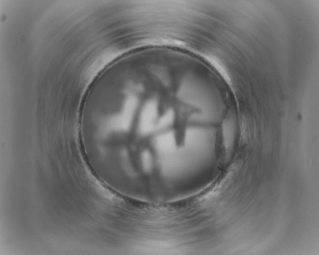 X0000089730895200706211431