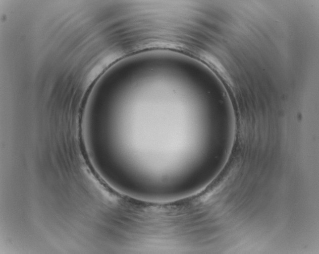 X0000089730898200706211431