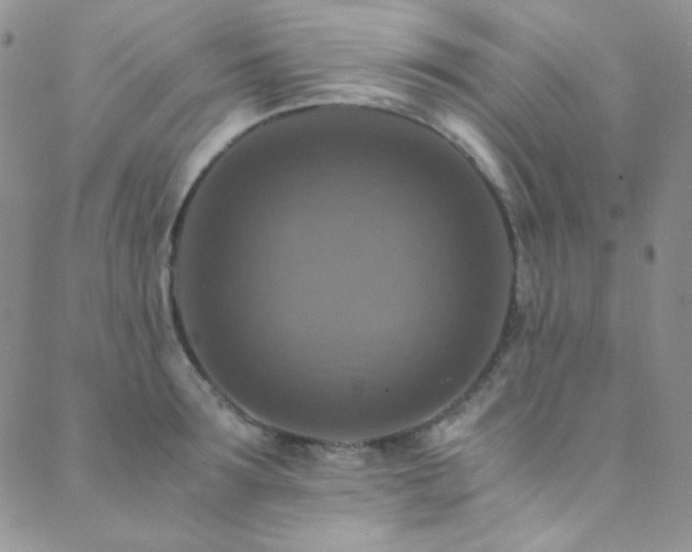 X0000089730899200706211431