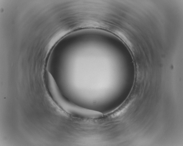 X0000089730901200706211430
