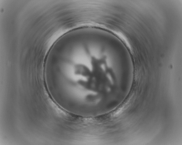 X0000089730903200706211430