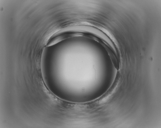 X0000089730905200706211430