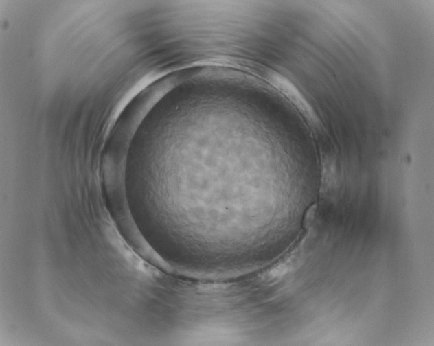 X0000089730908200706211430