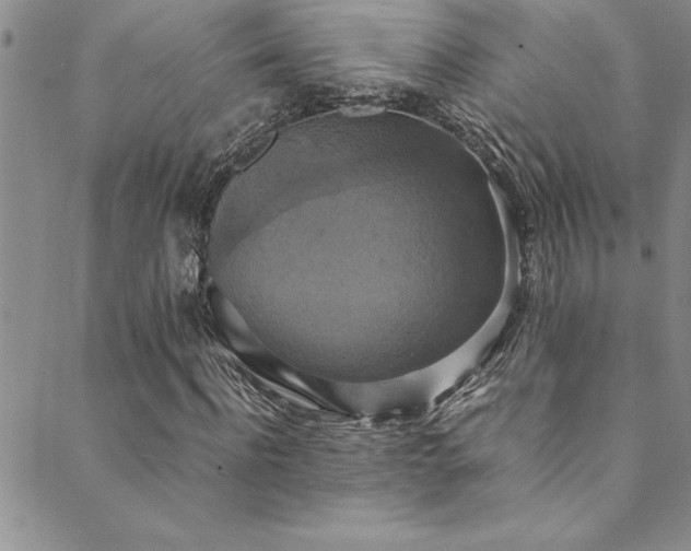 X0000089730916200706211430