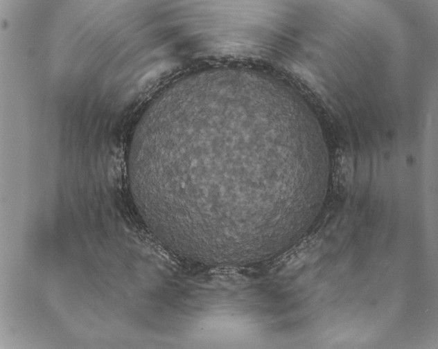 X0000089730918200706211430