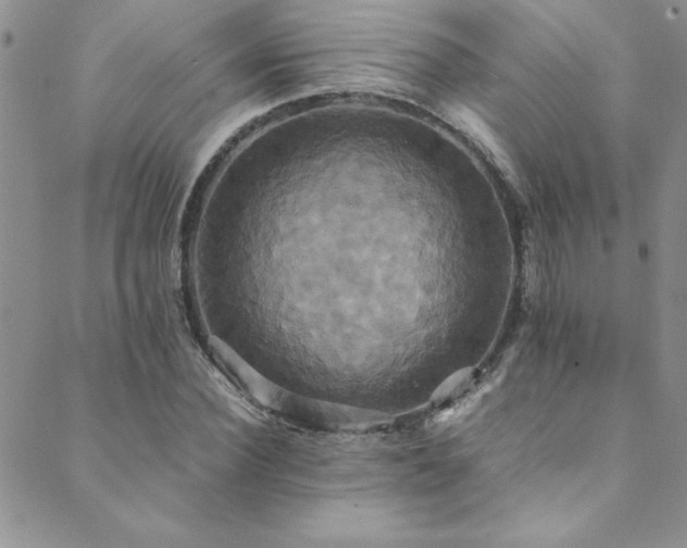 X0000089730924200706211430