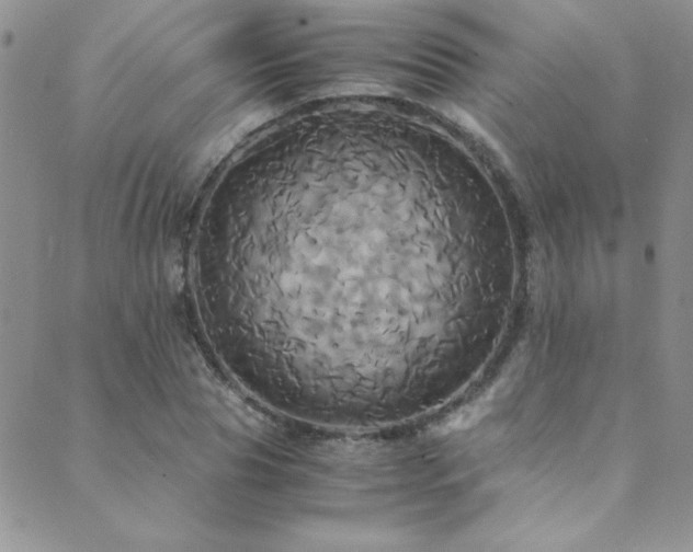 X0000089730929200706211430