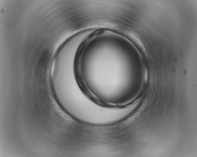 X0000089730936200706211430