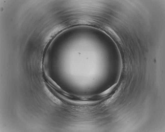 X0000089730938200706211430