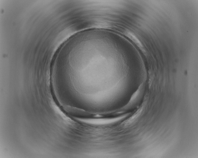 X0000089730939200706211430