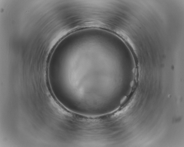 X0000089730941200706211430