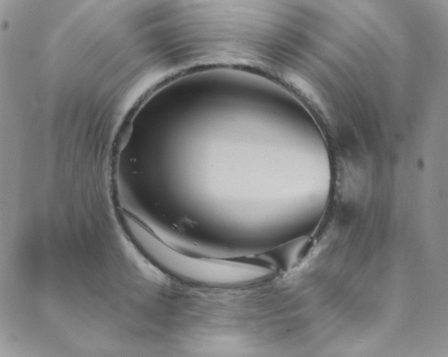 X0000089730942200706211430