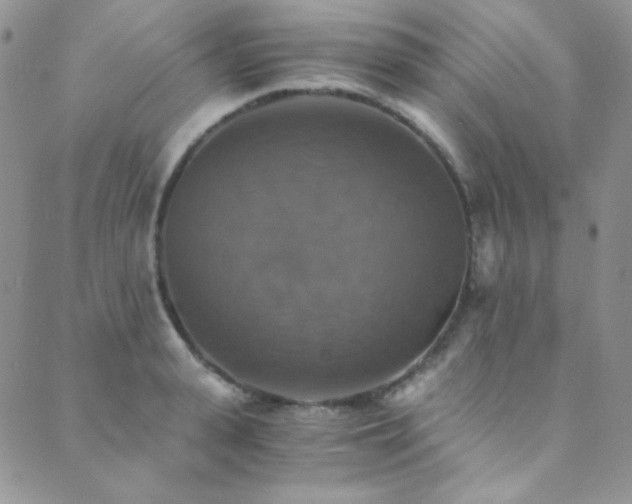 X0000089730943200706211430