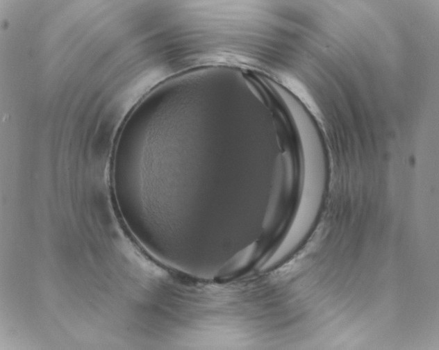 X0000089730946200706211430