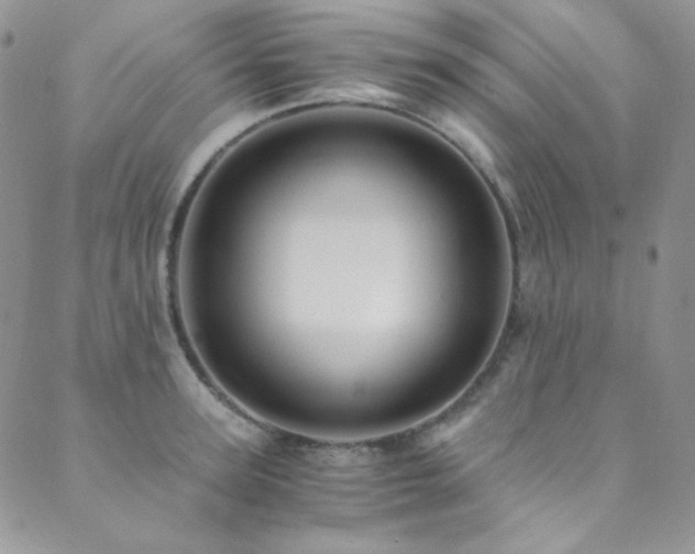 X0000089730947200706211430
