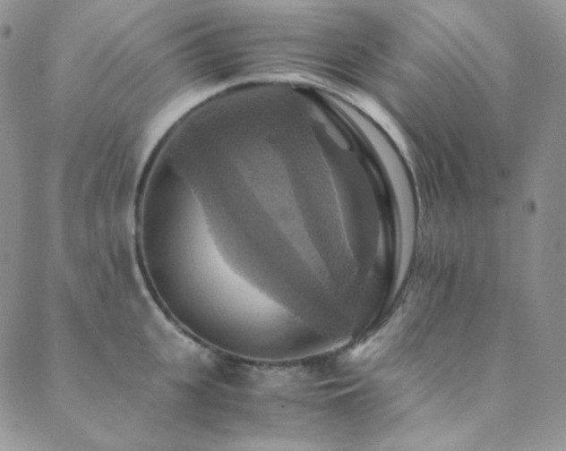 X0000089730951200706211430