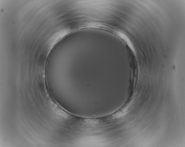 X0000089730954200706211430