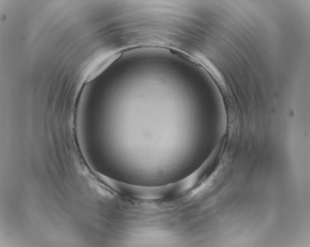 X0000089730956200706211430