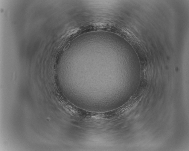 X0000089730961200706211430