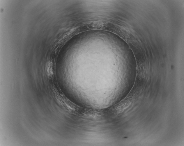 X0000089730962200706211430