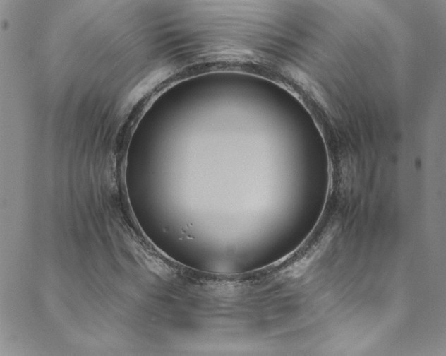X0000089730970200706211429