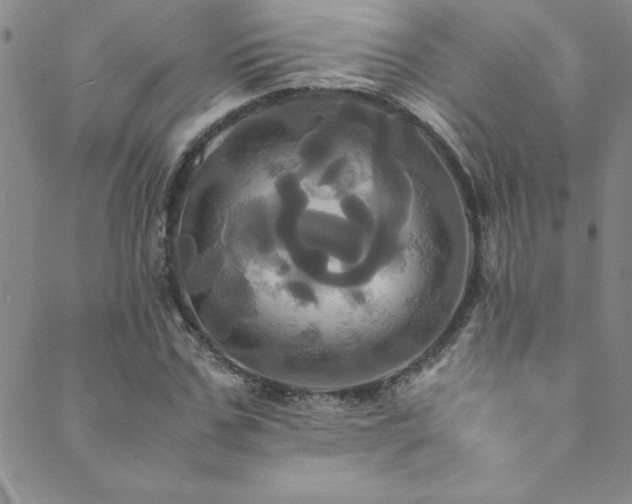 X0000089730971200706211429