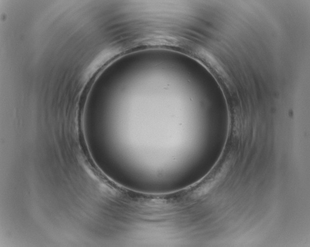 X0000089730986200706211429