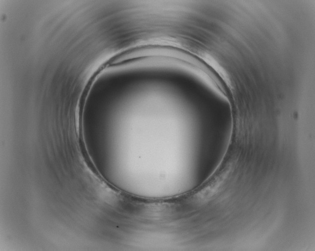 X0000089730988200706211429
