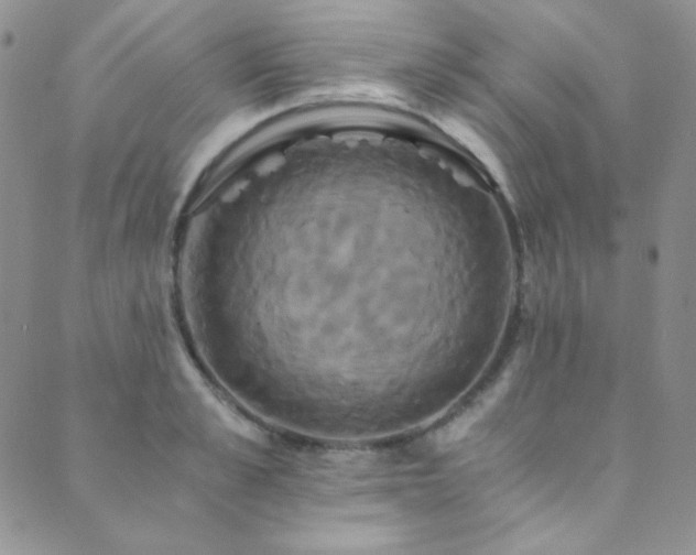 X0000089730989200706211429