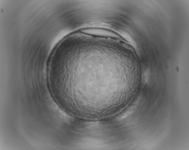 X0000089730990200706211429