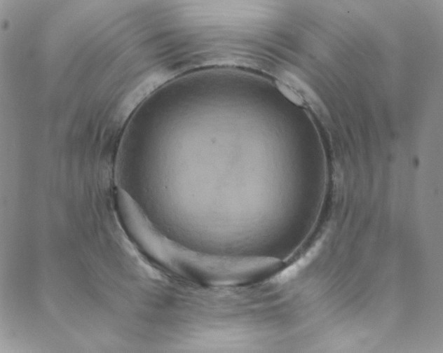 X0000089730993200706211429