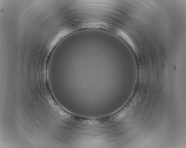 X0000089730994200706211429
