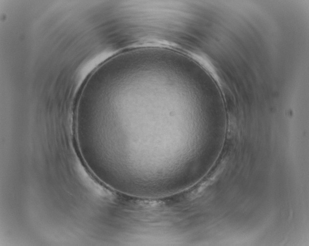 X0000089731003200706211429